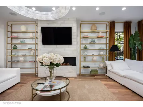 Living - 22 Elm St, Chicago, IL 60611 photo 3 of 7