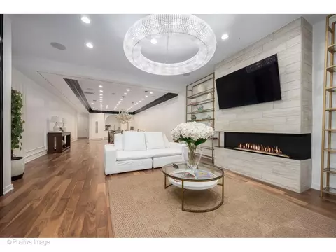 Living - 22 Elm St, Chicago, IL 60611 photo 5 of 7
