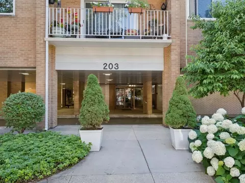 203 N Kenilworth Ave #2P, Oak Park, IL 60302