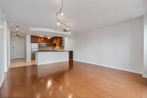 30 E Huron St #4310, Chicago, IL 60611 photo 11