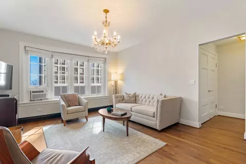 Living - 70 E Scott St #307, Chicago, IL 60610 photo 2 of 6
