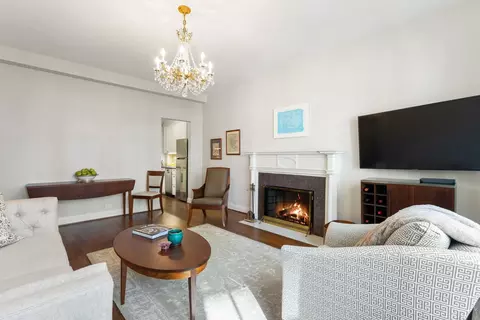 Living - 70 E Scott St #307, Chicago, IL 60610 photo 3 of 6