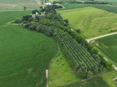 View/Area - 4149 School Rd, Chadwick, IL 61014 photo 4 of 11