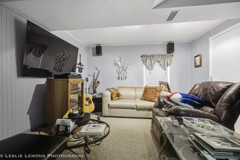 12208 S Shagbark Dr, Plainfield, IL 60585 photo 19