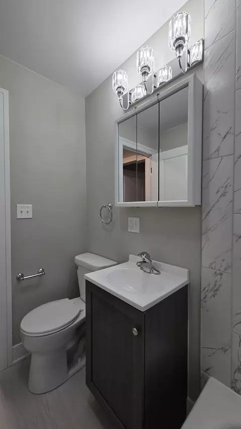 Bath - 17092 Jodave Ave, Hazel Crest, IL 60429 photo 3 of 3