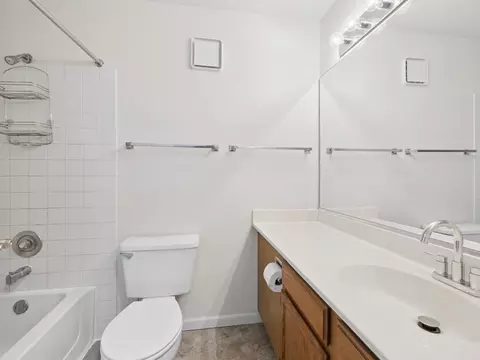 Bath - 3265 Kirchoff Rd #217, Rolling Meadows, IL 60008 photo 1 of 2