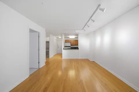 Living - 222 E Pearson St #707, Chicago, IL 60611 photo 1 of 7