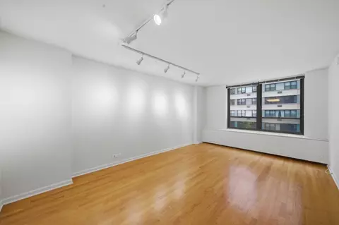 Living - 222 E Pearson St #707, Chicago, IL 60611 photo 6 of 7