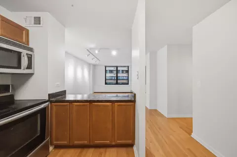 Kitchen - 222 E Pearson St #707, Chicago, IL 60611 photo 2 of 2
