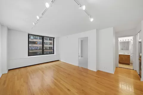 Living - 222 E Pearson St #707, Chicago, IL 60611 photo 5 of 7