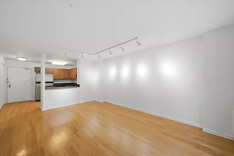 Living - 222 E Pearson St #707, Chicago, IL 60611 photo 2 of 7