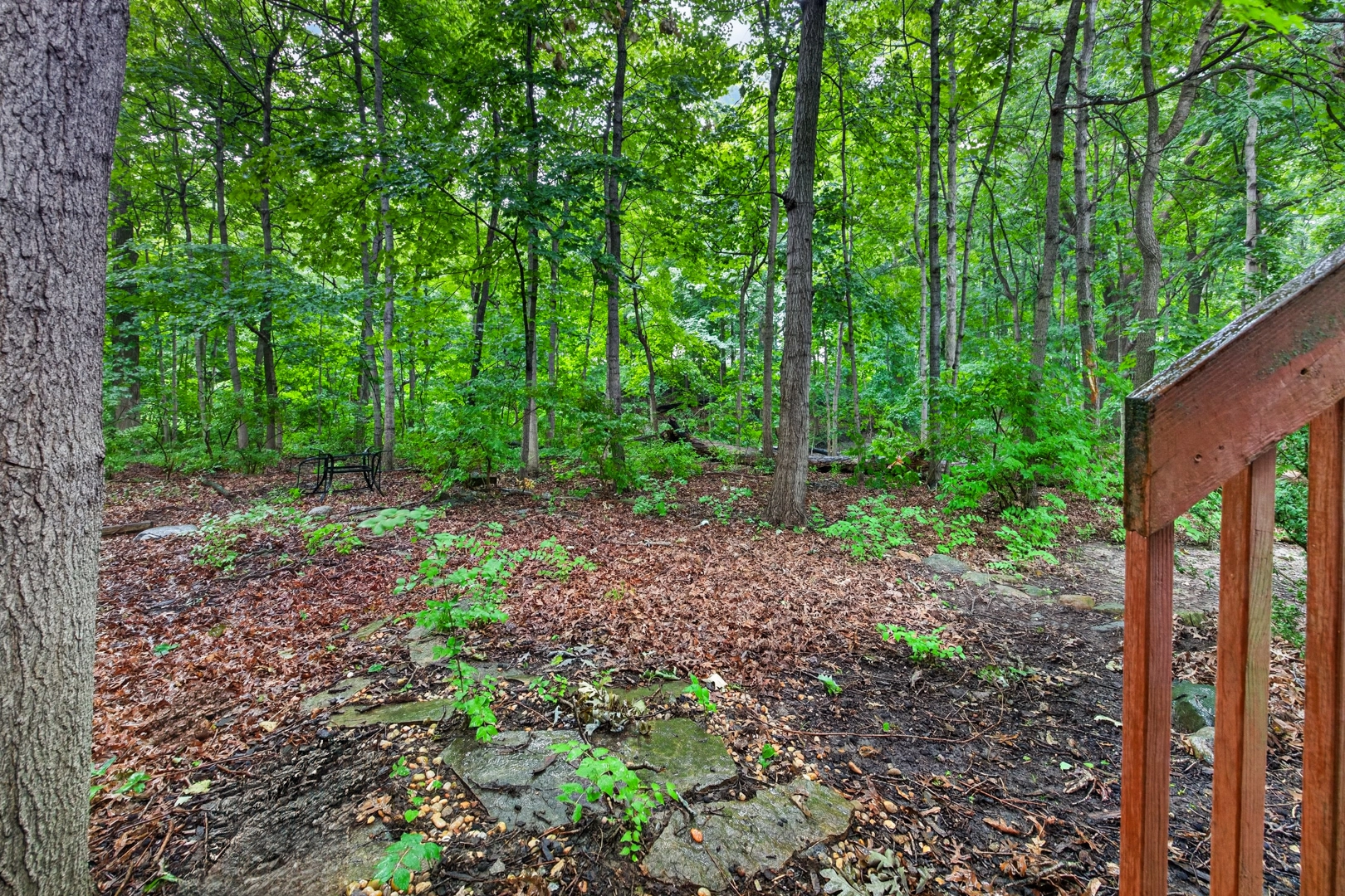 2 Scenic Pt, Bloomington, IL 61701 photo 54