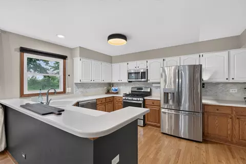 780 N Dexter Ln, Hoffman Estates, IL 60169 photo 13