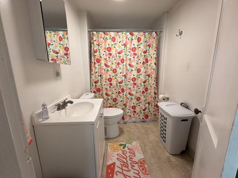 Bath - 3049 E 138th Pl, Burnham, IL 60633 photo 2 of 2
