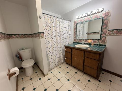Bath - 3049 E 138th Pl, Burnham, IL 60633 photo 1 of 2
