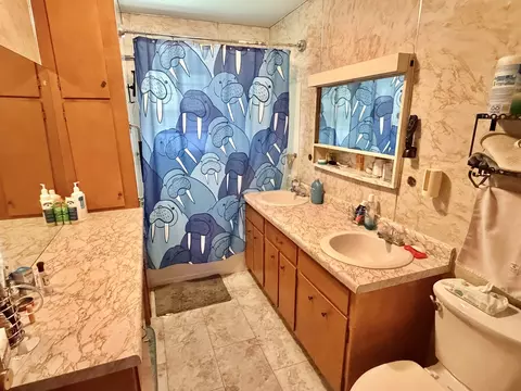 Bath - 1 Charles Dr, Centralia, IL 62801 photo 1 of 1