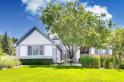 21425 N Meadowlark Ct, Kildeer, IL 60047