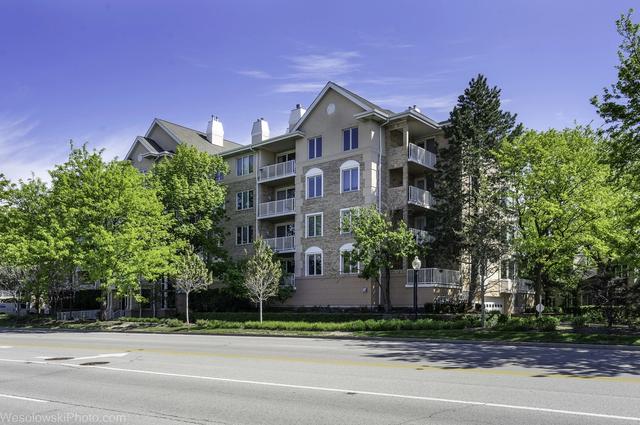 1705 Pavilion Way #208, Park Ridge, IL 60068