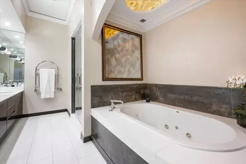 Bath - 450 E Waterside Dr #3409, Chicago, IL 60601 photo 2 of 4