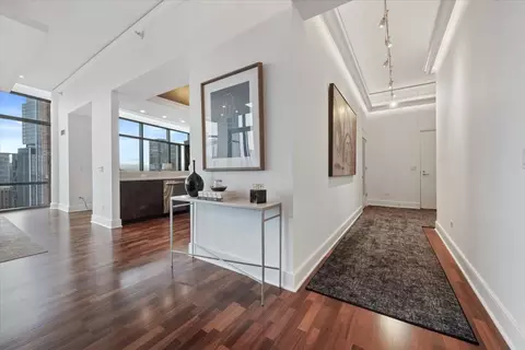 Entry Way - 450 E Waterside Dr #3409, Chicago, IL 60601 photo 2 of 3