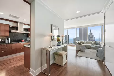 Entry Way - 401 N Wabash Ave #55F, Chicago, IL 60611 photo 1 of 2