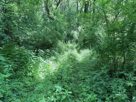 Other - 0000 E 25th Road Rd, Marseilles, IL 61341 photo 1 of 21