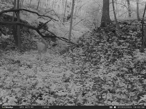 Other - 0000 E 25th Road Rd, Marseilles, IL 61341 photo 20 of 21