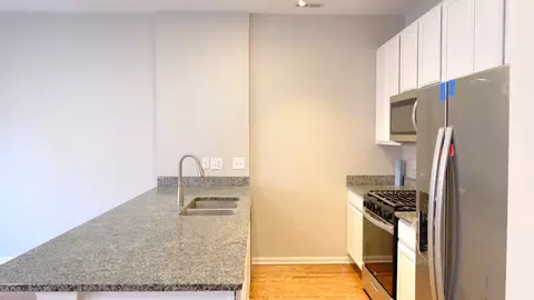 347 E 25th Pl #2E, Chicago, IL 60616 photo 12