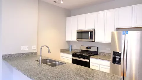 347 E 25th Pl #2E, Chicago, IL 60616 photo 13