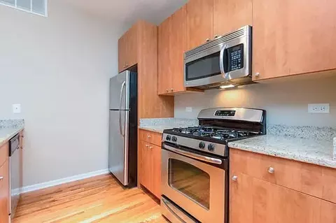 318 E 25th Pl #2E, Chicago, IL 60616 photo 3