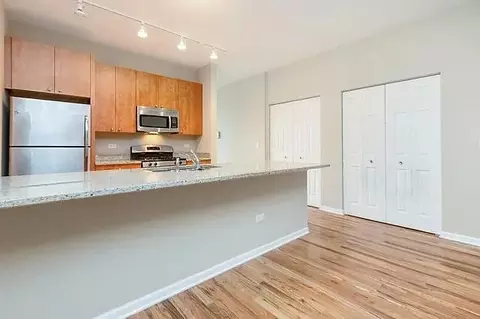 318 E 25th Pl #2E, Chicago, IL 60616 photo 4