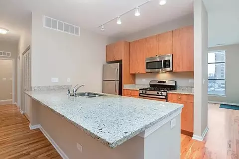 318 E 25th Pl #2E, Chicago, IL 60616 photo 2