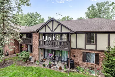8127 Chestnut Dr #58C, Palos Hills, IL 60465