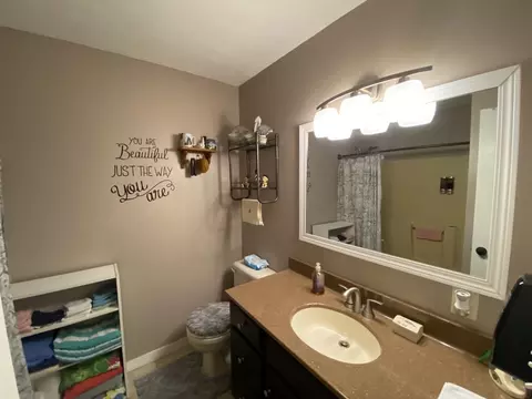 842 Stardust Ln, Herrin, IL 62948 photo 15