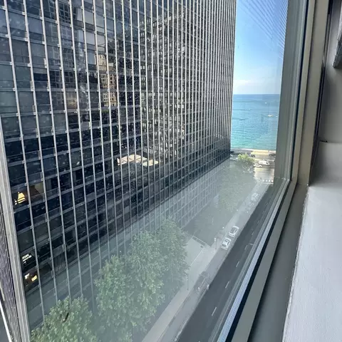 View/Area - 253 E Delaware Pl #15E, Chicago, IL 60611 photo 2 of 4