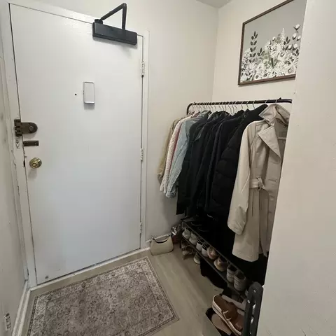 Other - 253 E Delaware Pl #15E, Chicago, IL 60611 photo 5 of 6