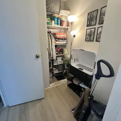 Other - 253 E Delaware Pl #15E, Chicago, IL 60611 photo 4 of 6