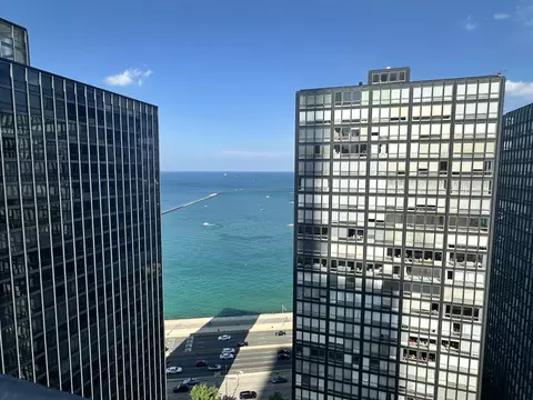 View/Area - 253 E Delaware Pl #15E, Chicago, IL 60611 photo 3 of 4