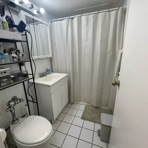 Bath - 253 E Delaware Pl #15E, Chicago, IL 60611 photo 1 of 1