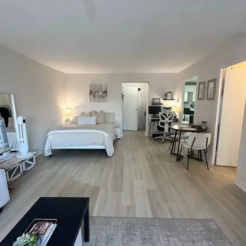 Other - 253 E Delaware Pl #15E, Chicago, IL 60611 photo 1 of 6