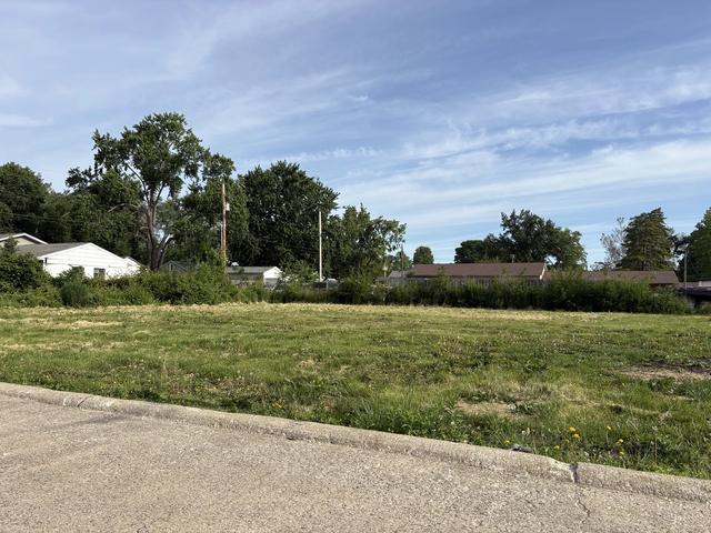 1009 N Cunningham Ave, Urbana, IL 61802