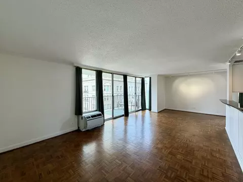 71 E Division St #1601, Chicago, IL 60610 photo 4