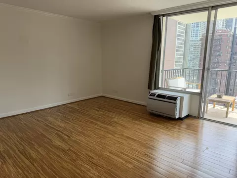 71 E Division St #1601, Chicago, IL 60610 photo 9