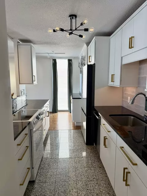 71 E Division St #1601, Chicago, IL 60610 photo 5