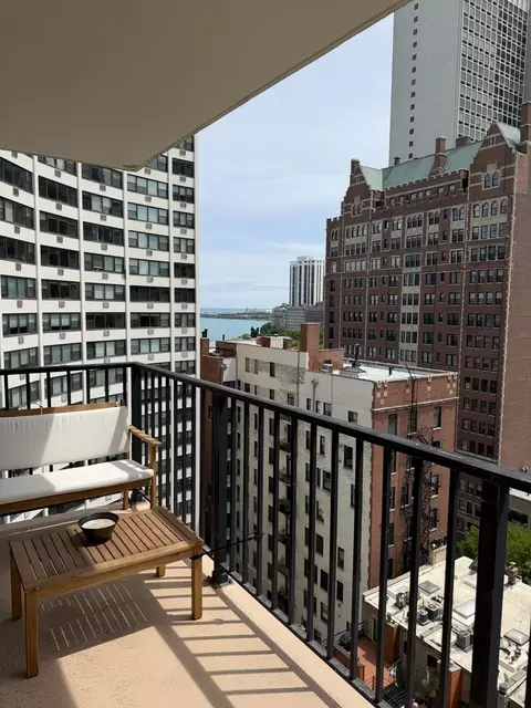 71 E Division St #1601, Chicago, IL 60610 photo 15