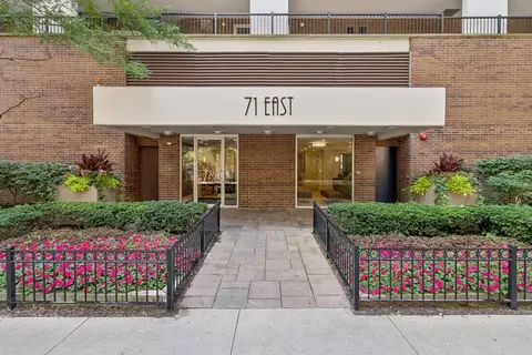 71 E Division St #1601, Chicago, IL 60610 photo 2