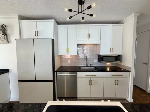 71 E Division St #1601, Chicago, IL 60610 photo 7