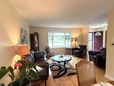 508 Willow Ln, Beecher, IL 60401 photo 6