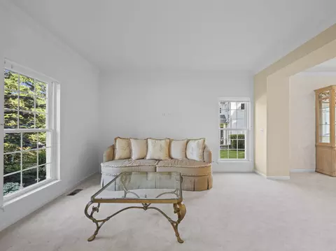 1162 Alder Ln, Bartlett, IL 60103 photo 4