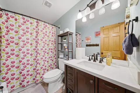 25013 Sandra Ln, Plainfield, IL 60544 photo 14